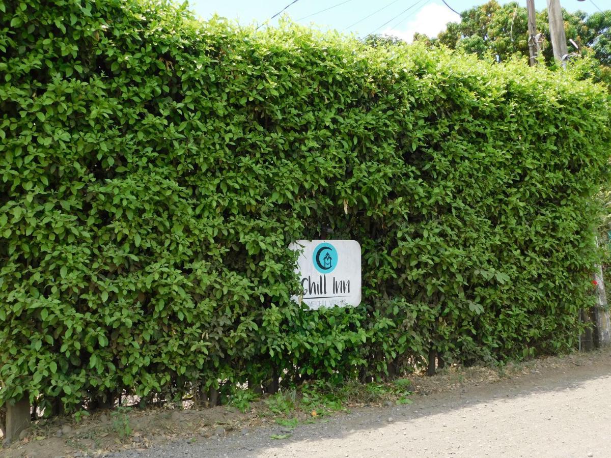 Chill-Inn Nosara Zewnętrze zdjęcie